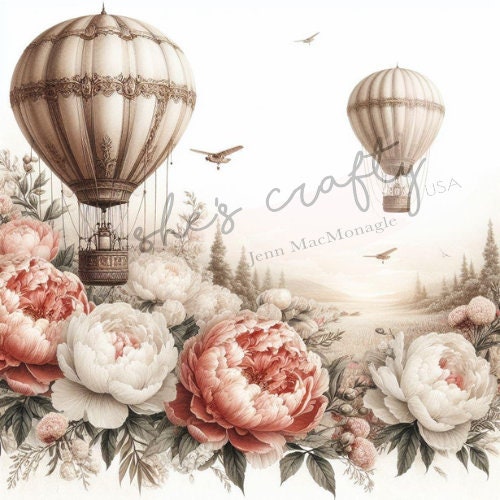 Hot Air Balloon Ride Download